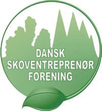 DSF-logo-nyt